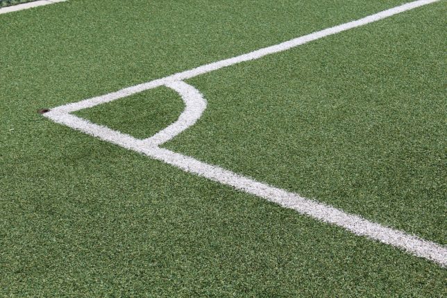 synthetic grass